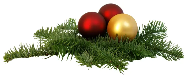 Christmas Ornaments with Pine Branches