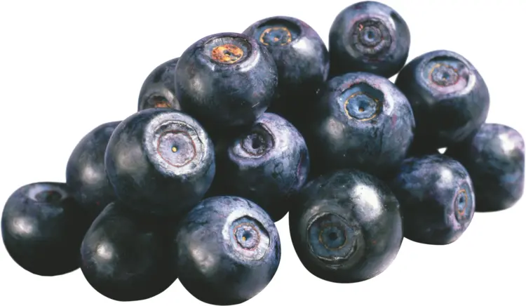 Pile of Blueberries