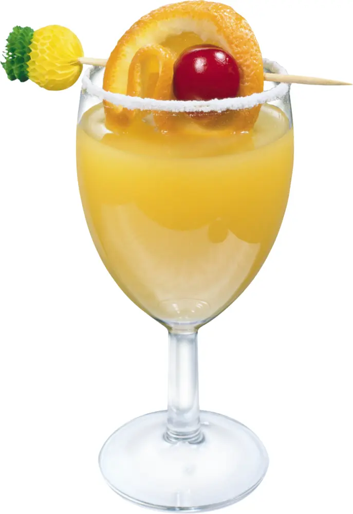 Orange Drink with Fruit Garnish