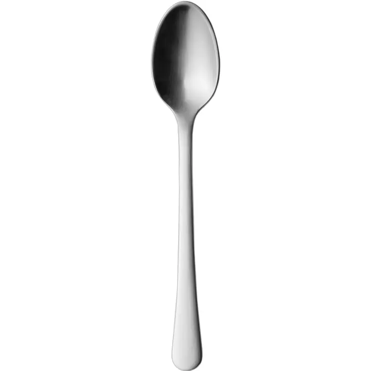 Shiny Silver Spoon for Dining