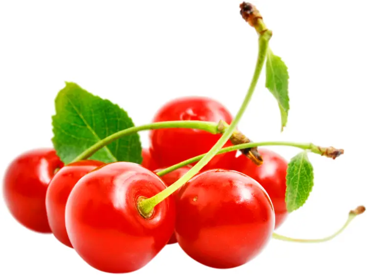 Fresh Red Cherries with Leaves