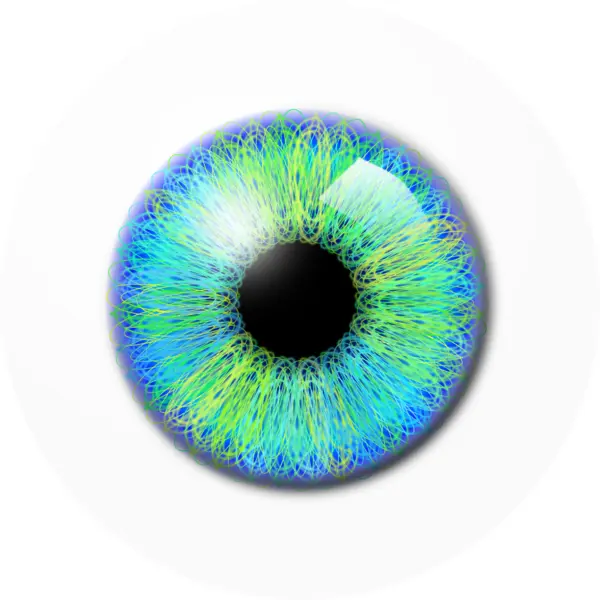 Green and Blue Eye with Vivid Colors