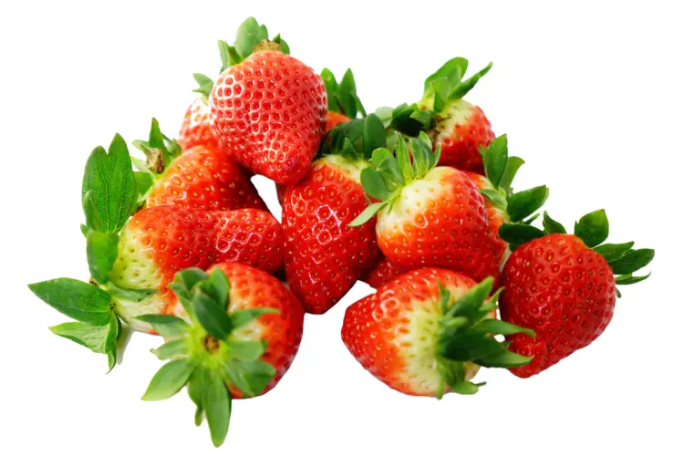 Fresh Red Strawberries