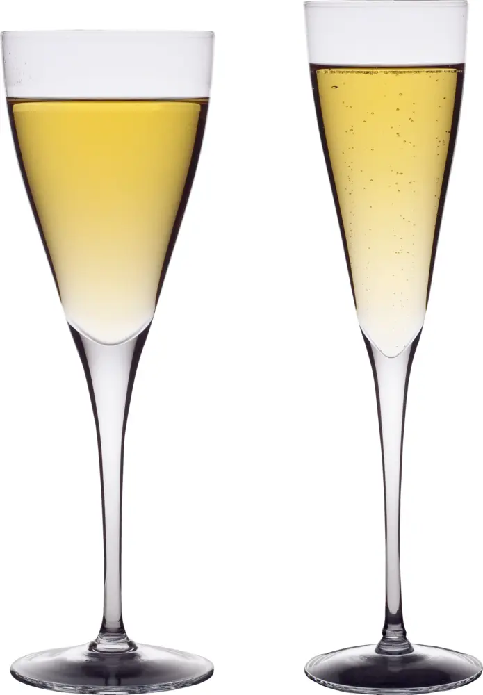Two Champagne Glasses with Bubbles