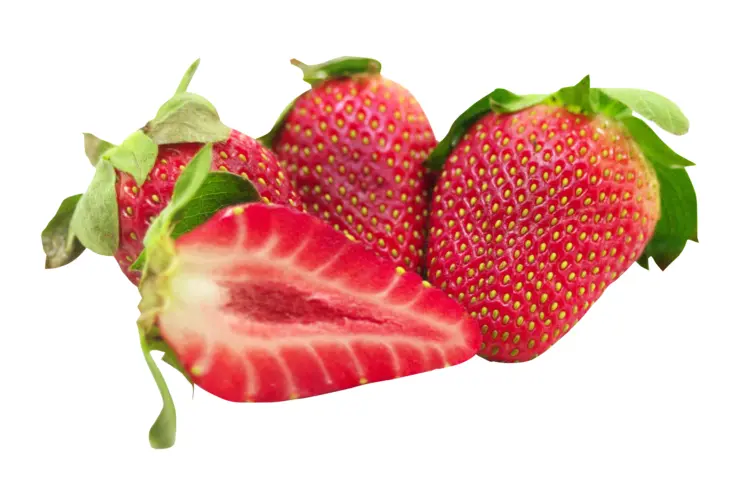 Juicy Red Strawberries