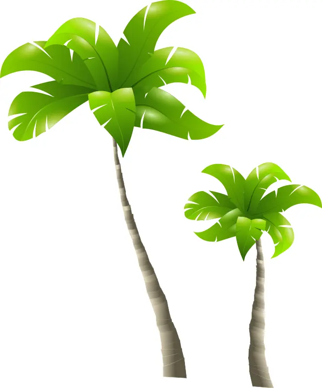 Tropical Green Palm Trees