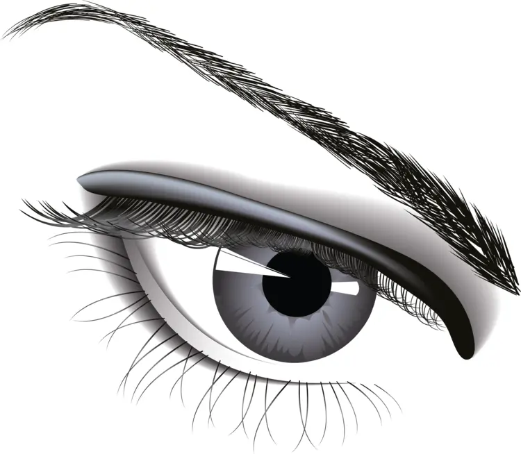 Detailed Eye Illustration