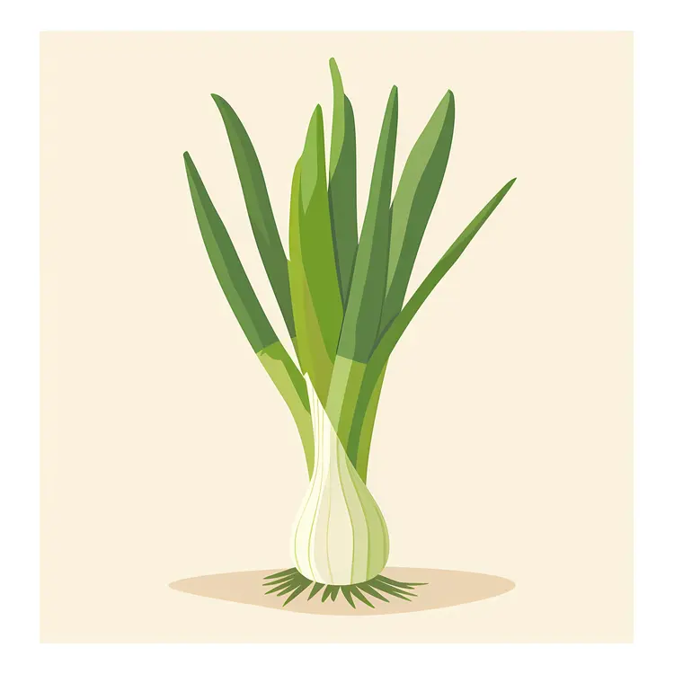 Green Onion with Roots Illustration