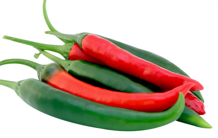 Fresh Red and Green Chili Peppers