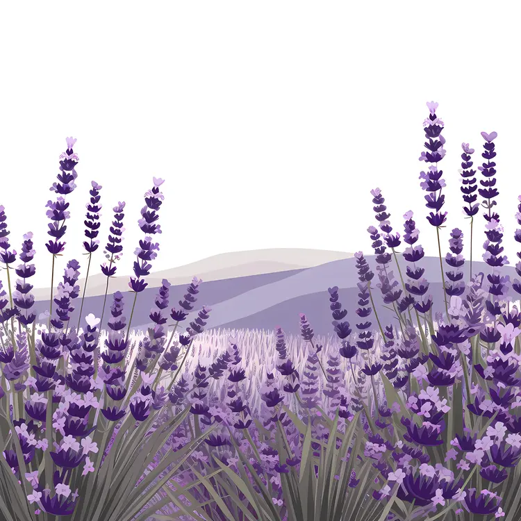 Lavender Field with Mountains