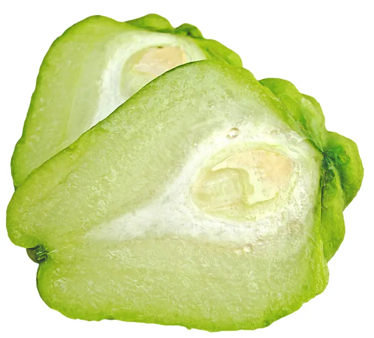 Sliced Green Chayote
