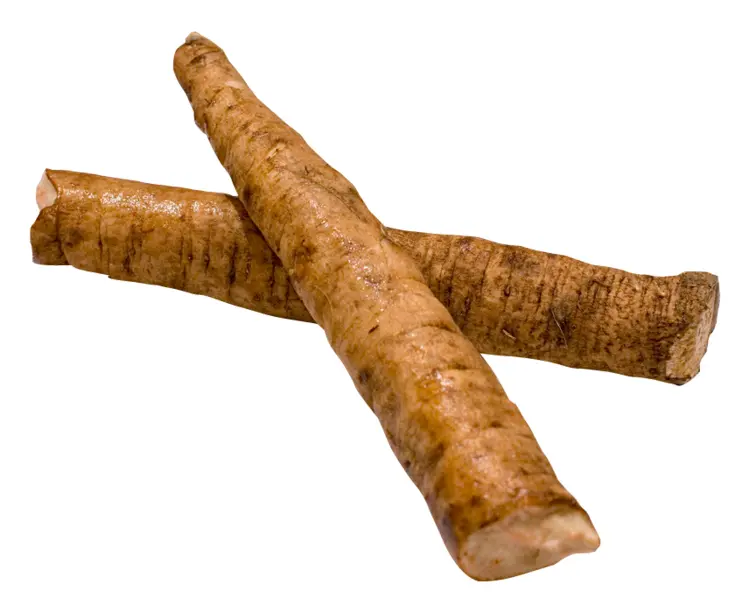 Brown Burdock Root