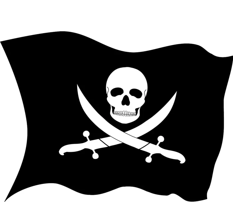 Pirate Skull and Crossbones Flag