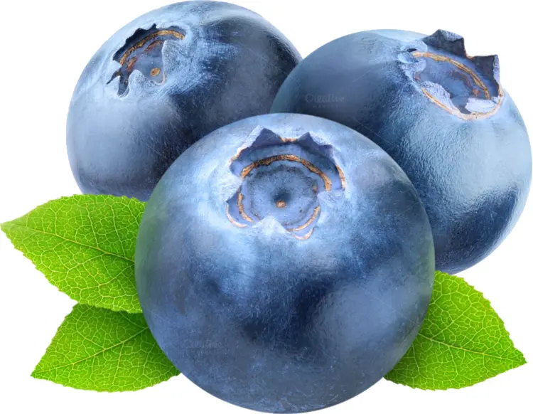 Fresh Blueberries