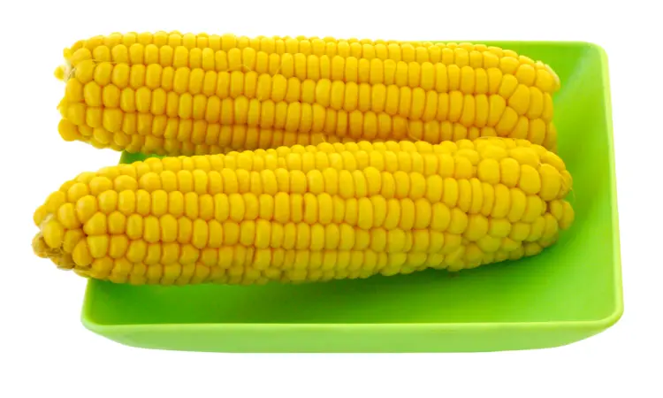 Fresh Yellow Corn on the Cob