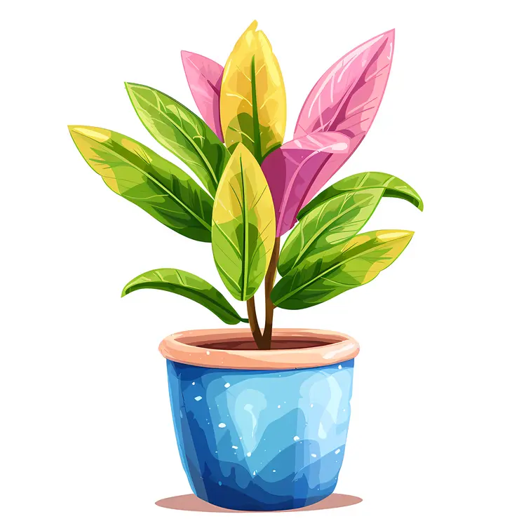 Green and Pink Potted Plant Illustration
