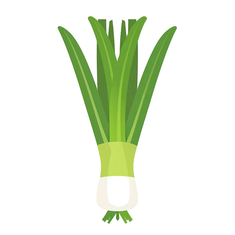 Artistic Green Onion Illustration
