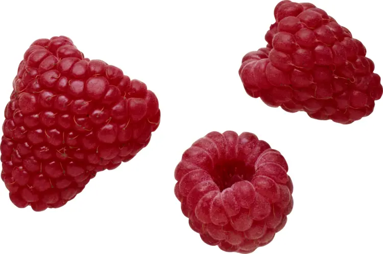 Fresh Red Raspberries
