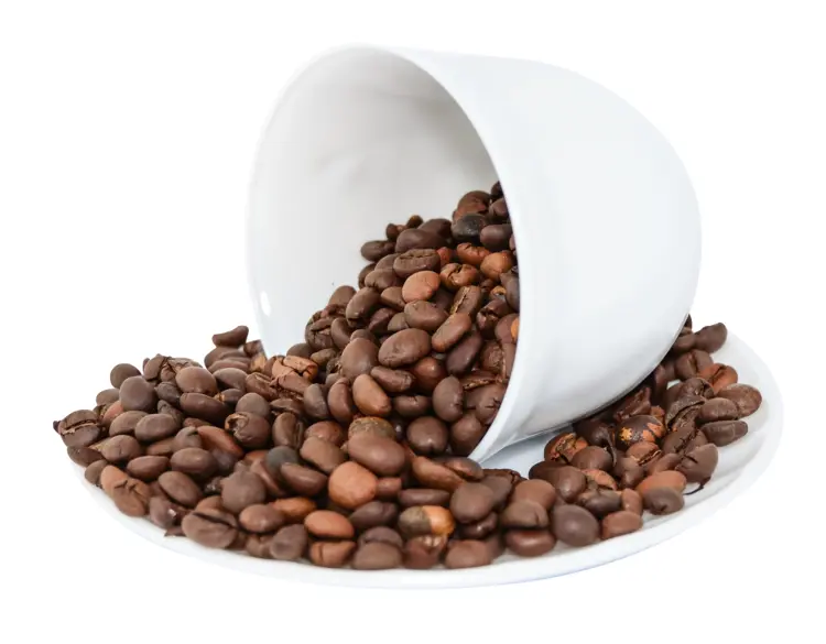 Spilled Coffee Beans from White Cup