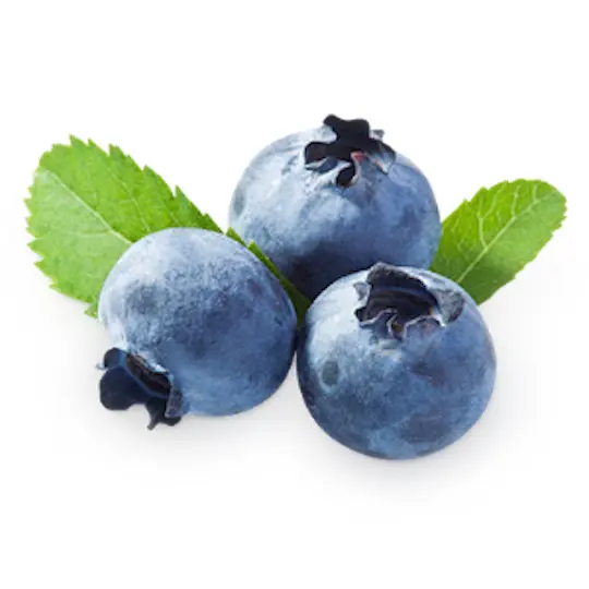 Three Blueberries with Leaves