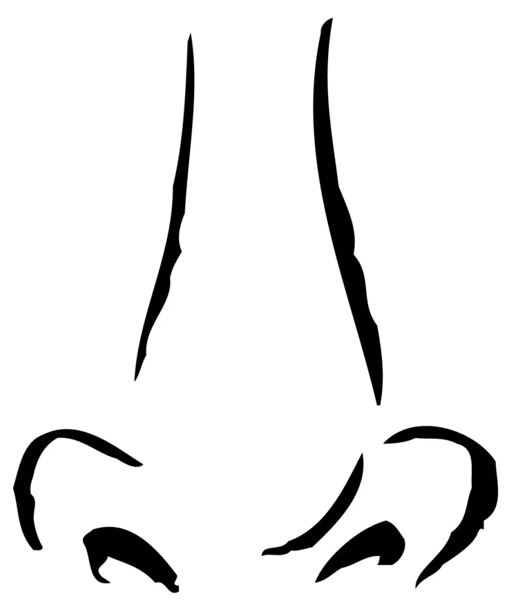 Black and White Nose Outline