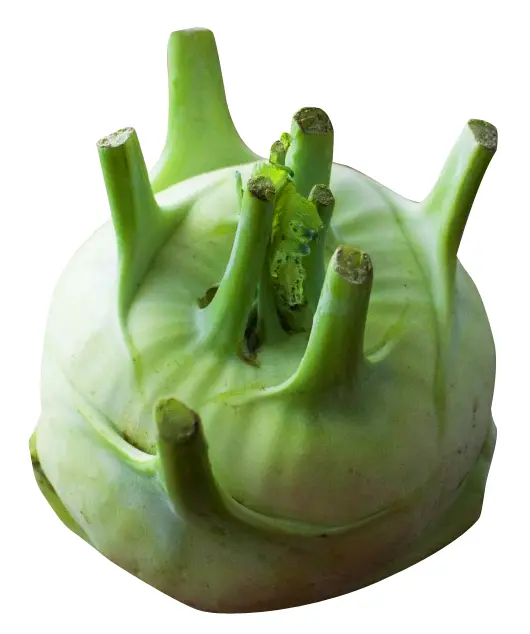 Green Kohlrabi Vegetable
