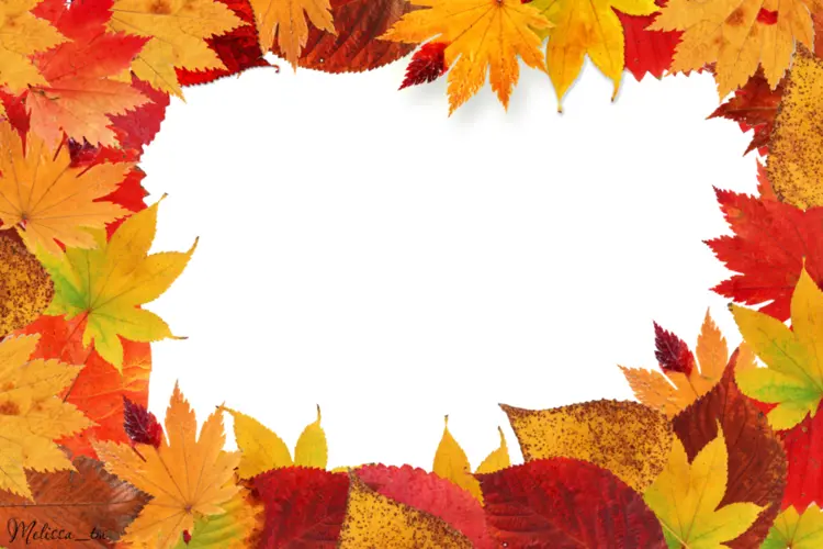 Autumn Leaves Frame with Transparent Center
