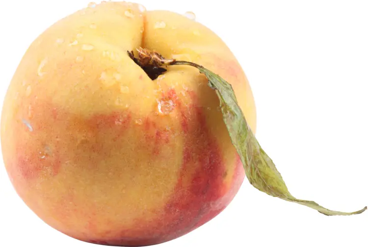 Fresh Juicy Peach