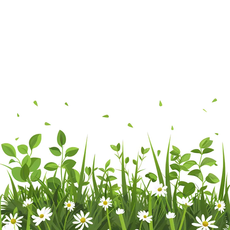 Green Grass and White Flowers in Spring