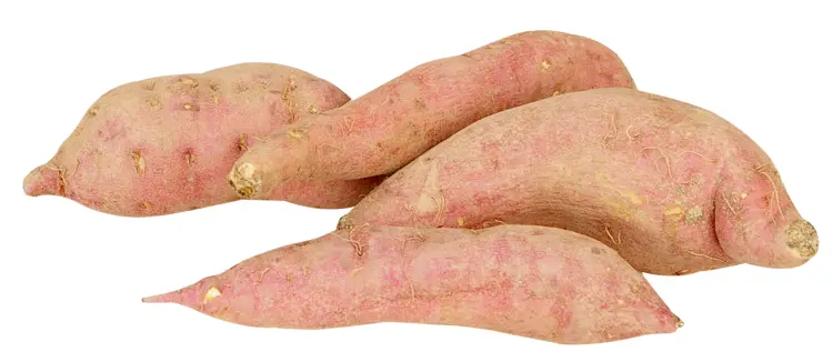 Fresh Sweet Potatoes