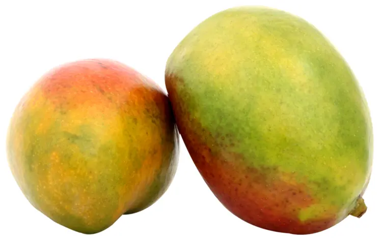 Two Mangoes