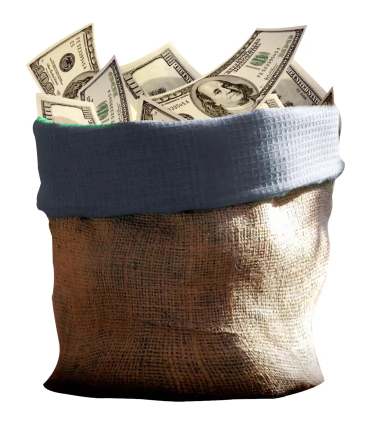 Money Bag Filled with Cash