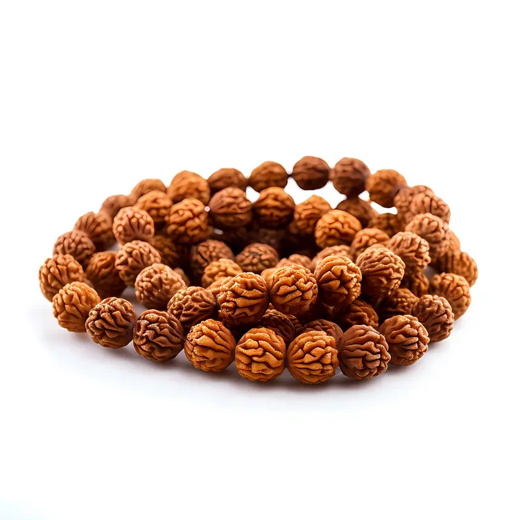 Rudraksha Beads for Prayer and Meditation