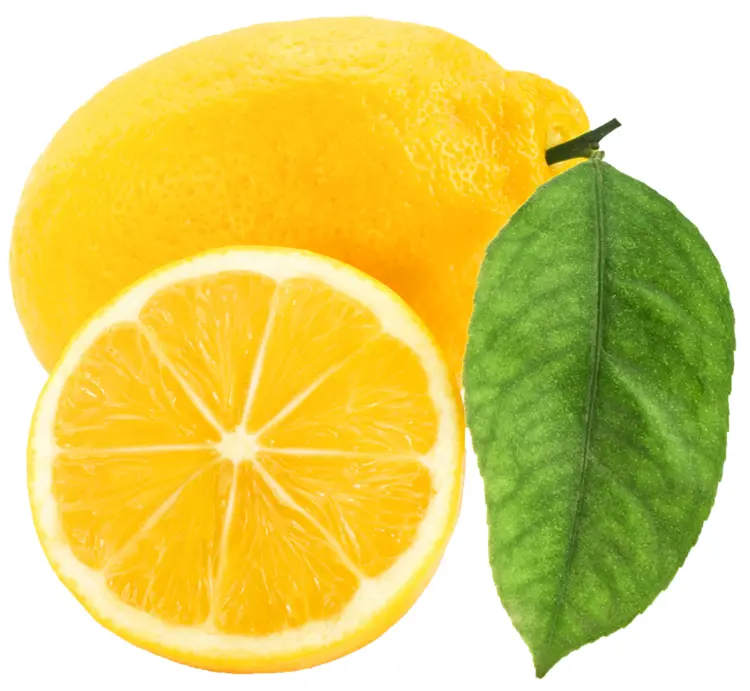 Fresh Lemon with Slice and Green Leaf