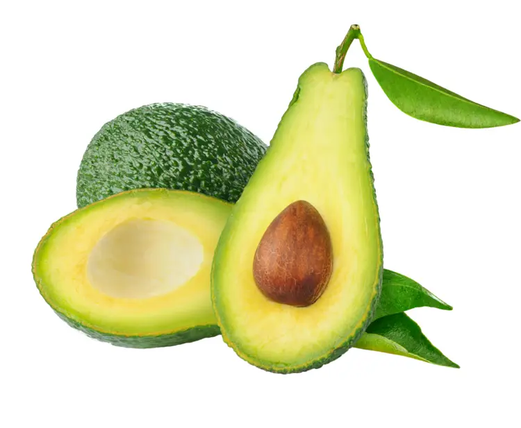 Avocado with Leaves