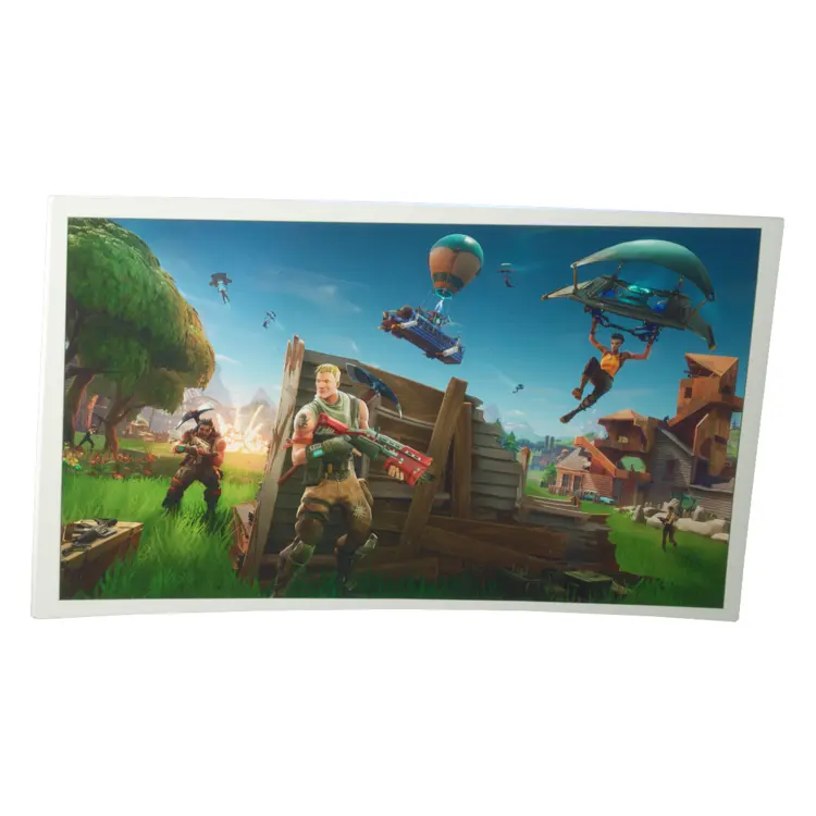 Battle Scene in Game