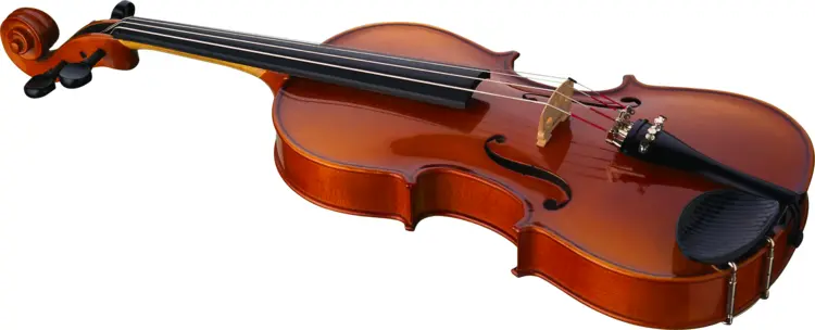Elegant Wooden Violin