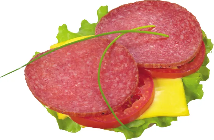 Open Sandwich with Salami and Cheese
