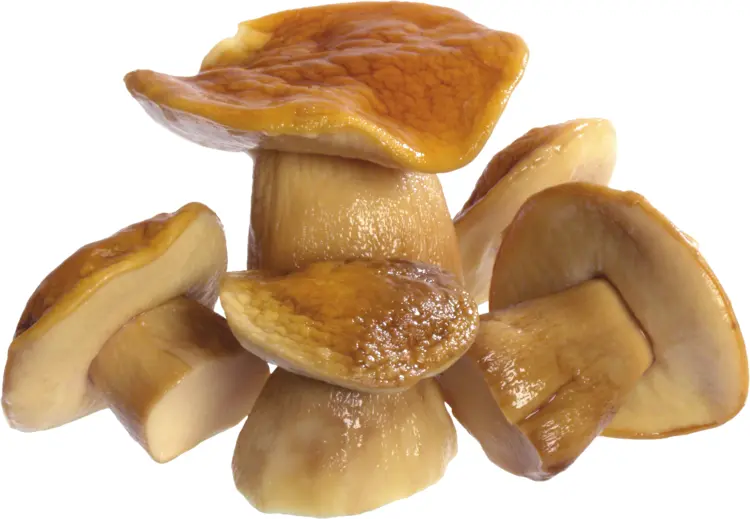 Brown Mushrooms for Cooking