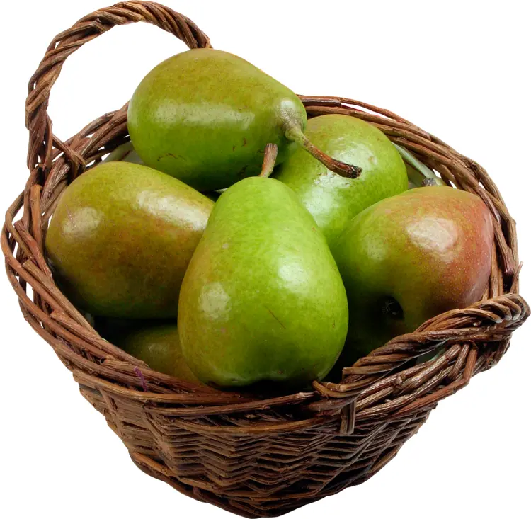 Basket of Fresh Pears