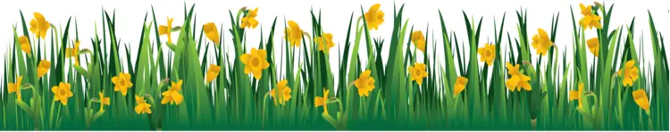 Grass with Yellow Flowers