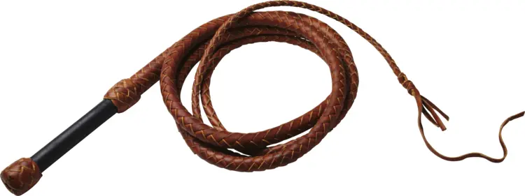 Leather Whip Tool