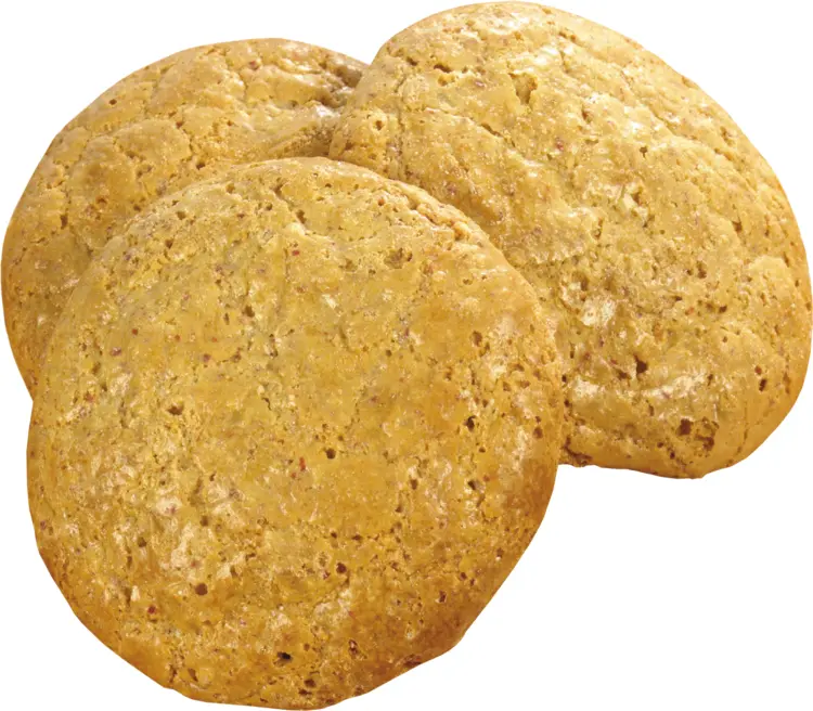 Homemade Oatmeal Cookies