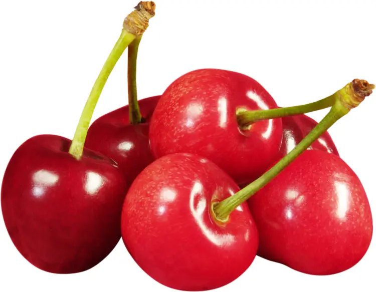 Bunch of Red Cherries
