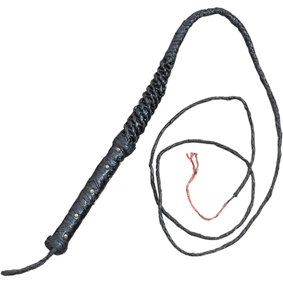 Black Leather Whip