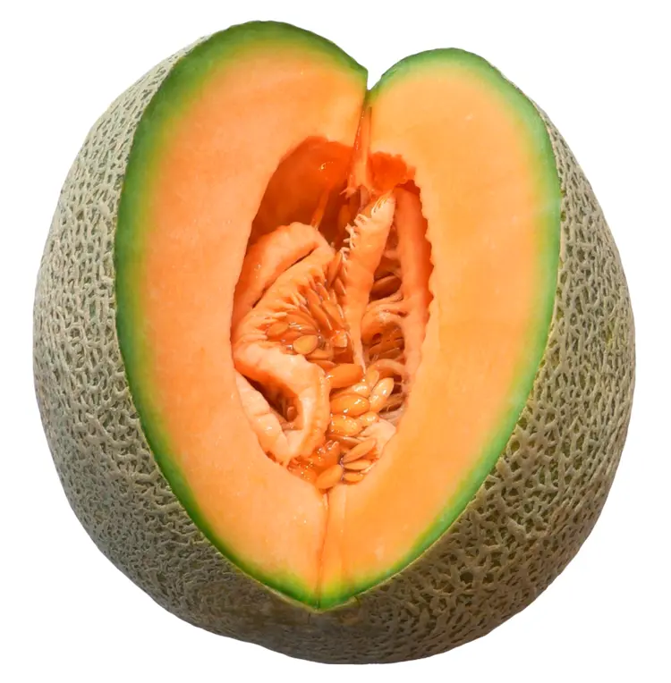 Orange Melon Fruit