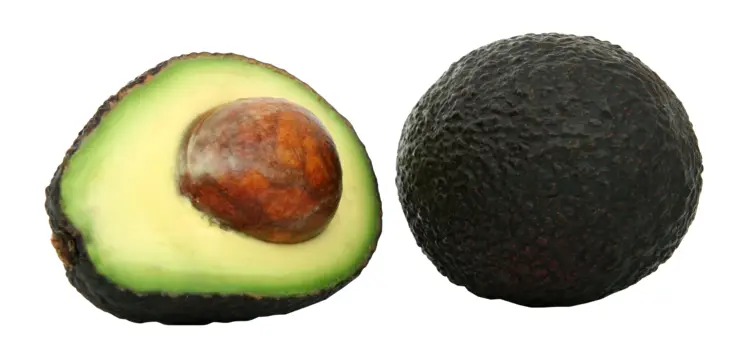 Whole and Half Avocado