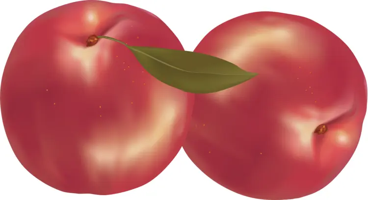 Two Red Plums with a Leaf