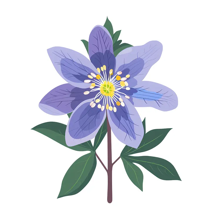 Purple Blossom Flower