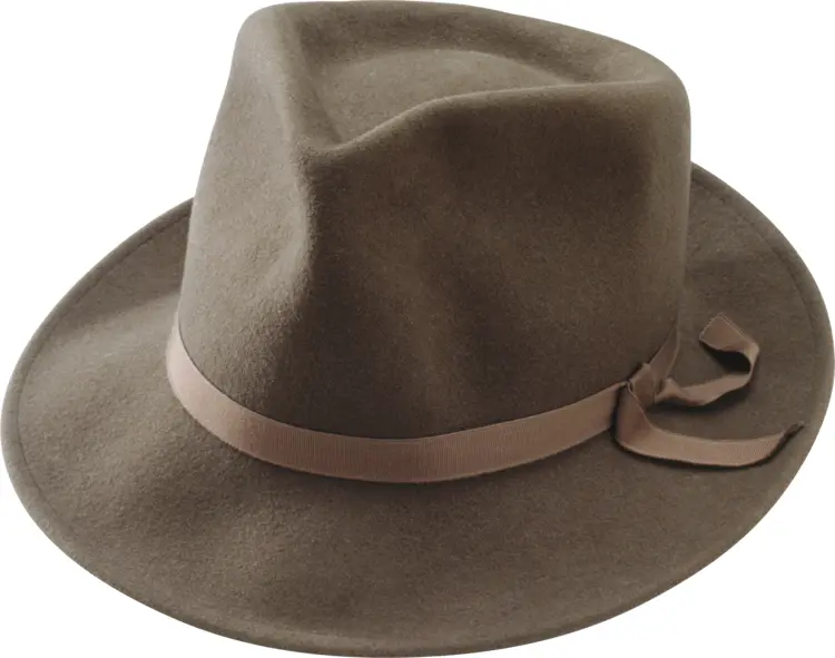 Stylish Brown Fedora Hat